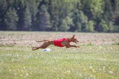 101577527_3155409111165085_8328574871281860608_n