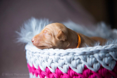DSC6552
